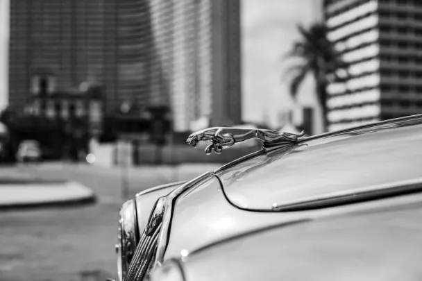 Casino Golden Reels Android/iOS App